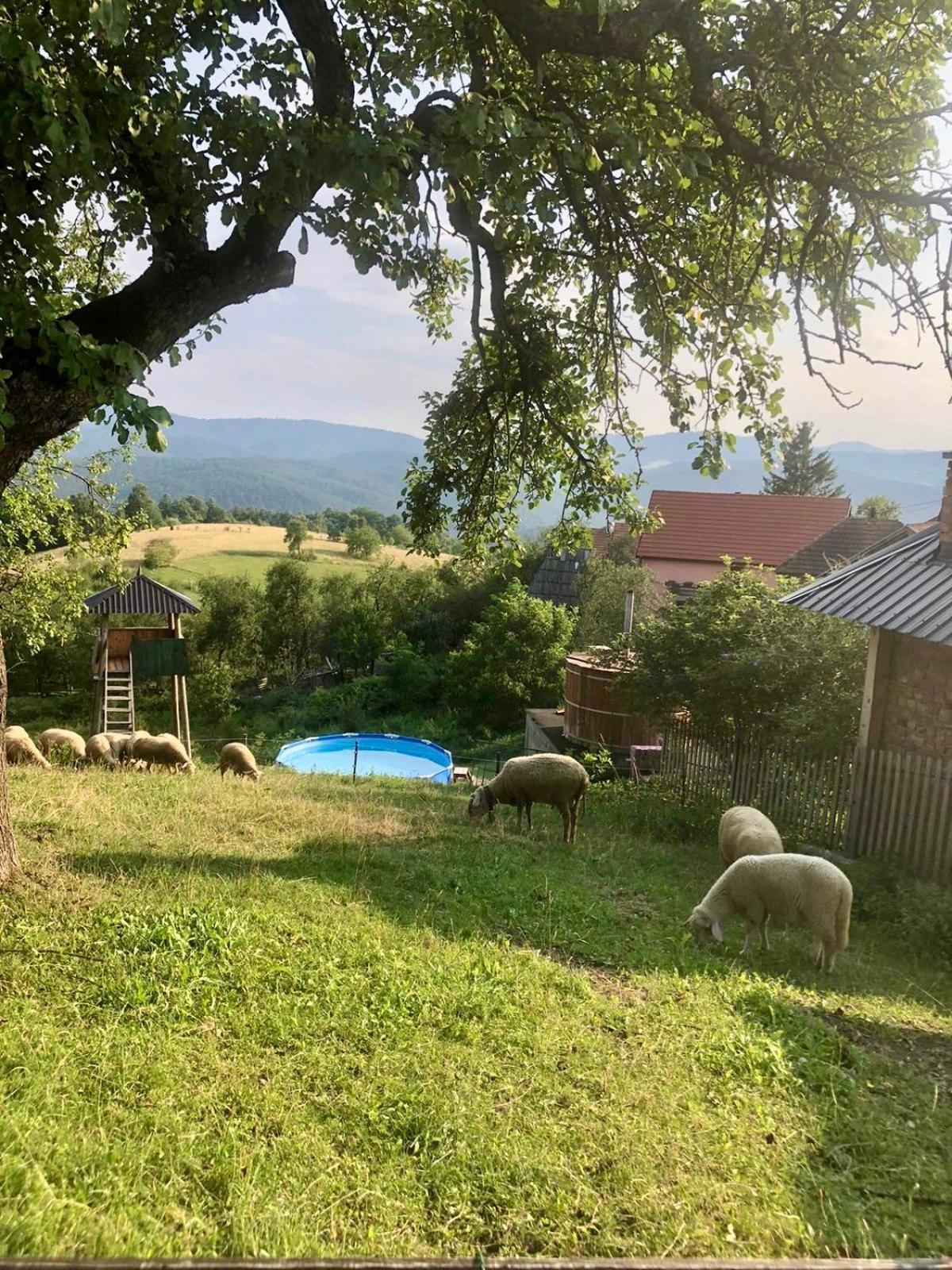 Captain's Village Sljivovica (Zlatibor)